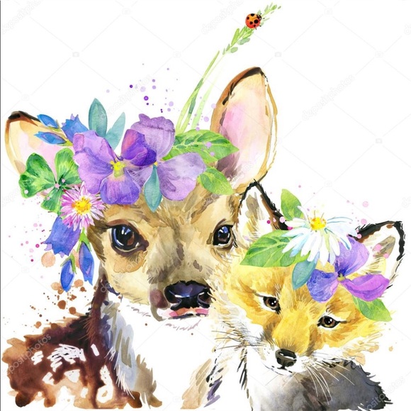 afoxandfawn